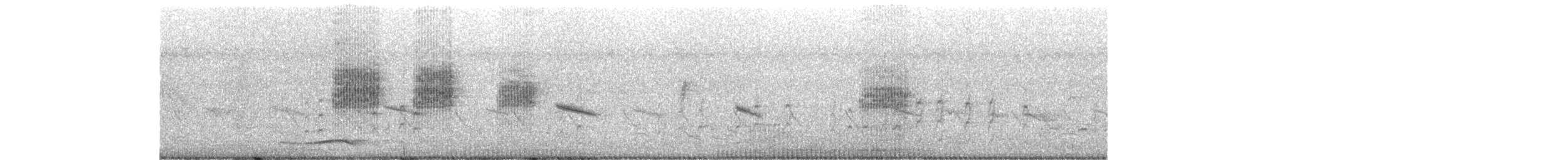 Bay-backed Shrike - ML637907313