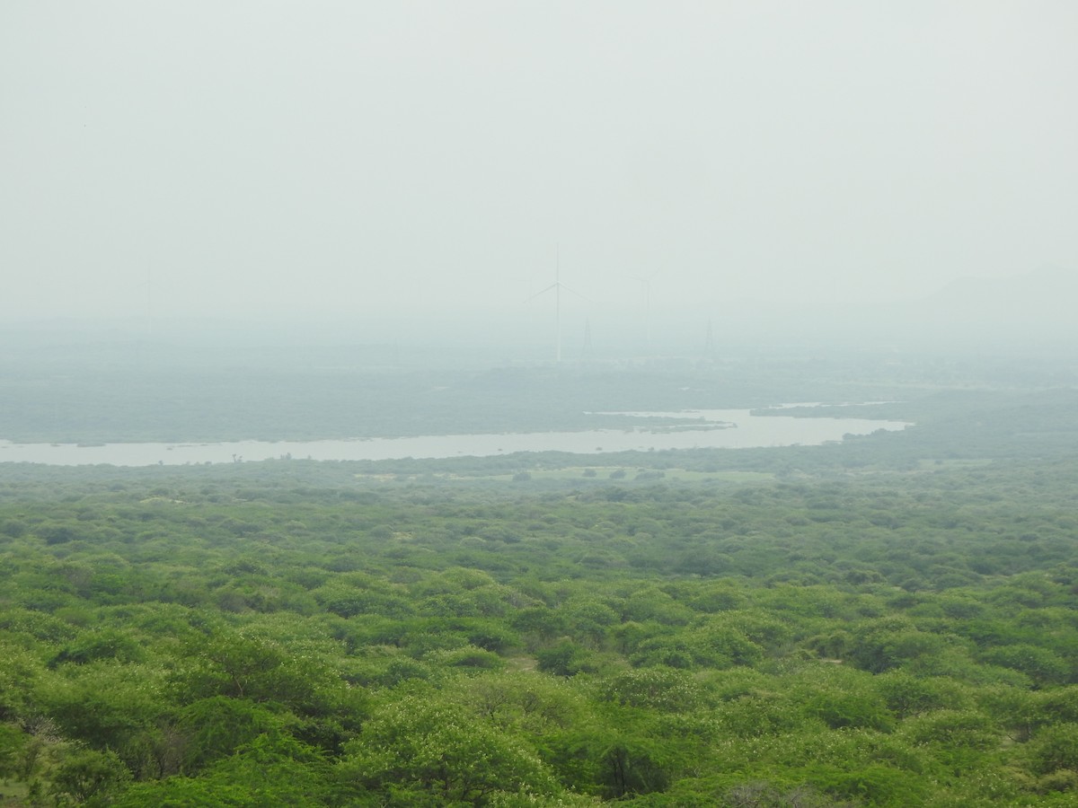 null - ML637908151