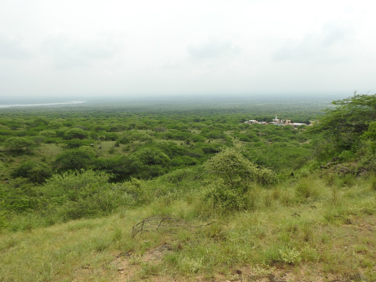 null - ML637908152