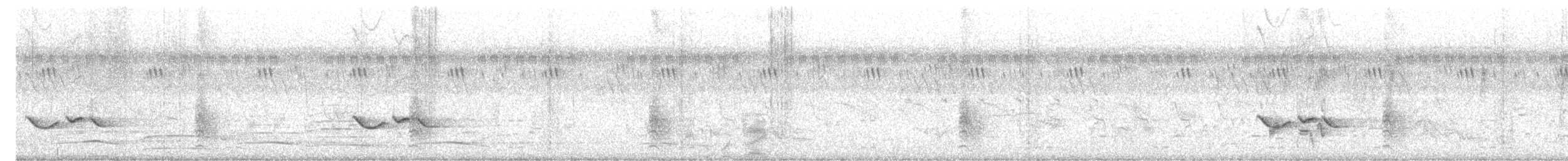 White-tailed Iora - ML637908676
