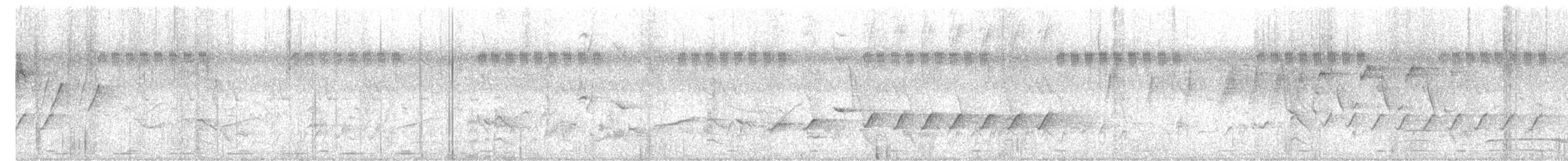 Black-headed Cuckooshrike - ML637908680