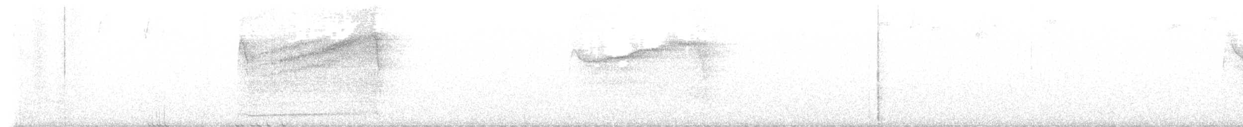 Barred Owl - ML637908886