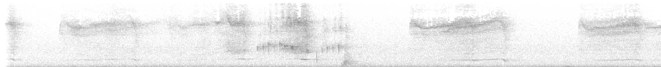 Barred Owl - ML637908888