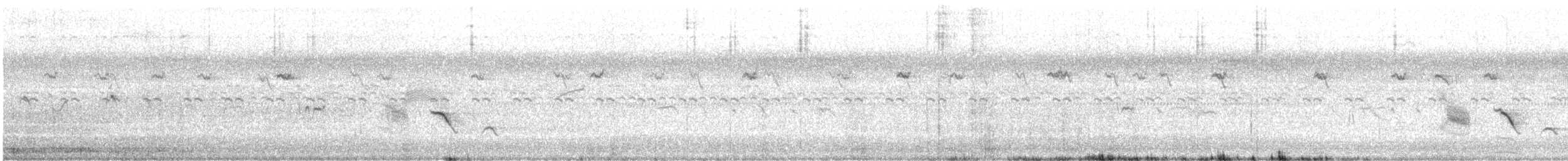 Bengalino comune - ML637912696
