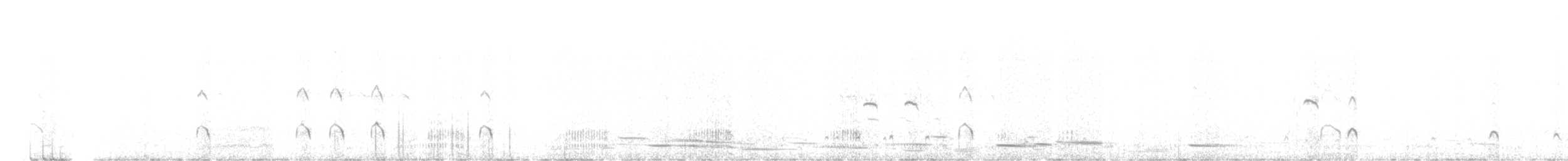 Gray Teal - ML637913494