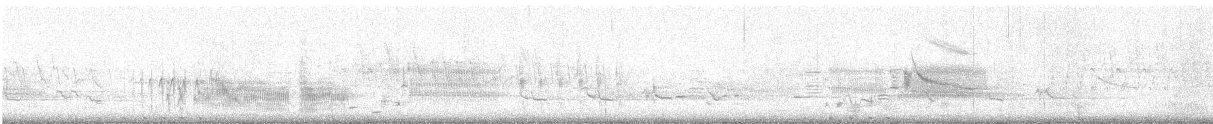 Least Bittern - ML637916058