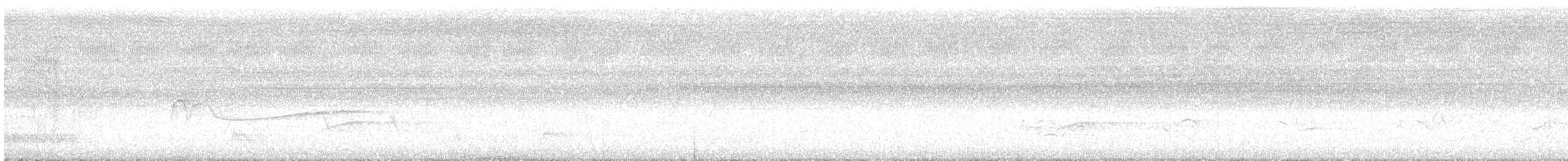 Eastern Wood-Pewee - ML637917710