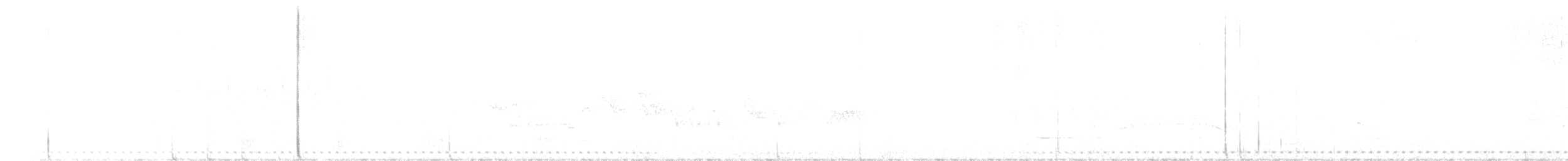 Lesser Nighthawk - ML637917757