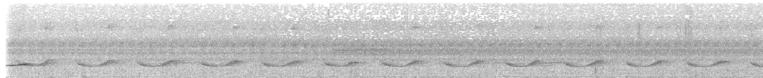 Marbled Wren-Babbler - ML637918902