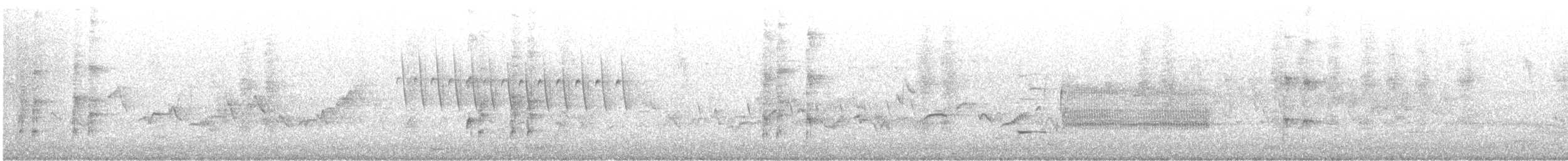 chřástal virginský - ML637920039