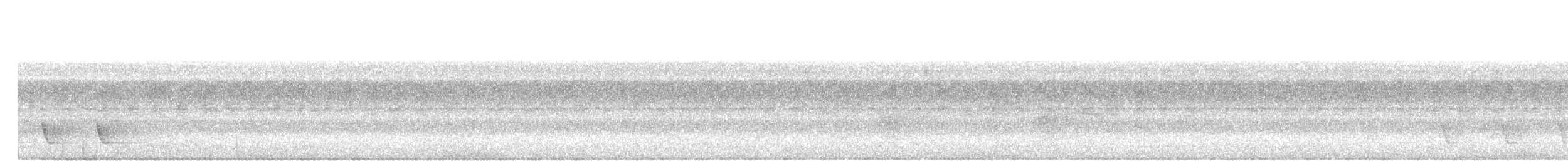 Marbled Wren-Babbler - ML637920524