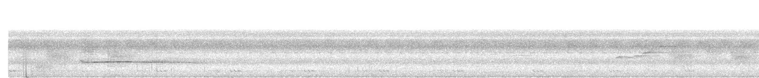 Marbled Wren-Babbler - ML637920534