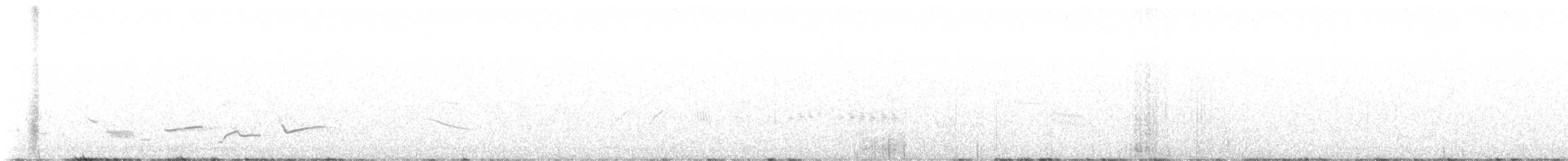 new world oriole sp. - ML637921775