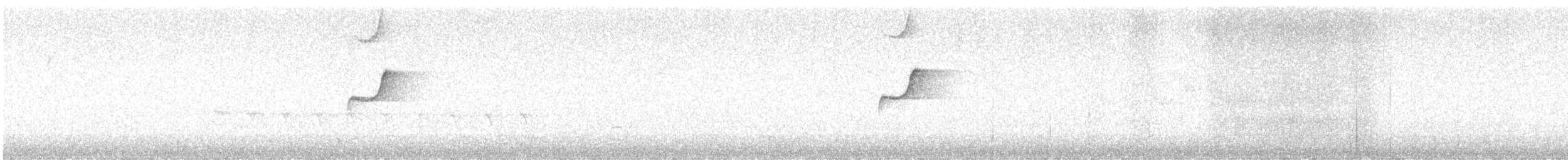 Western Flycatcher (Pacific-slope) - ML637922138