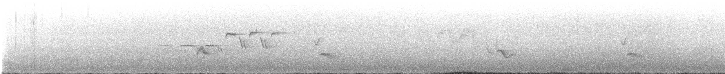 Cassin's Vireo - ML637922326