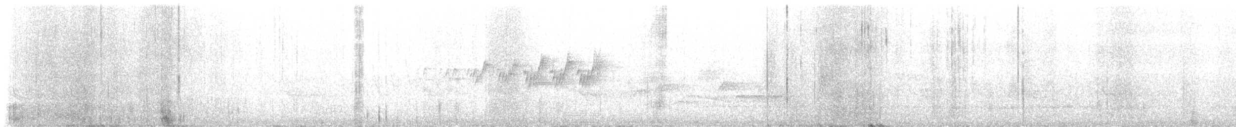 MacGillivray's Warbler - ML637922471