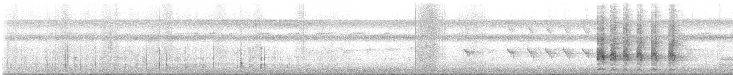 Least Bittern - ML637925711