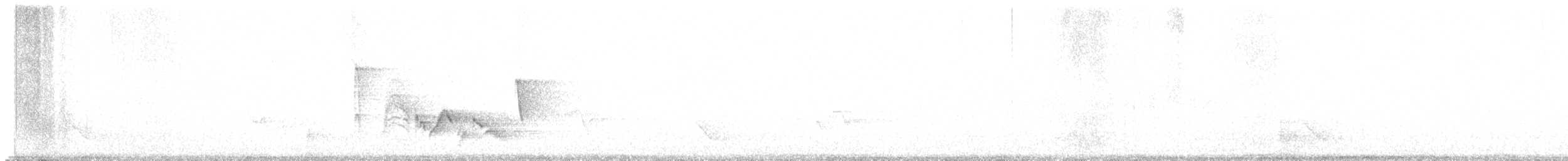 White-eyed Vireo - ML637927623