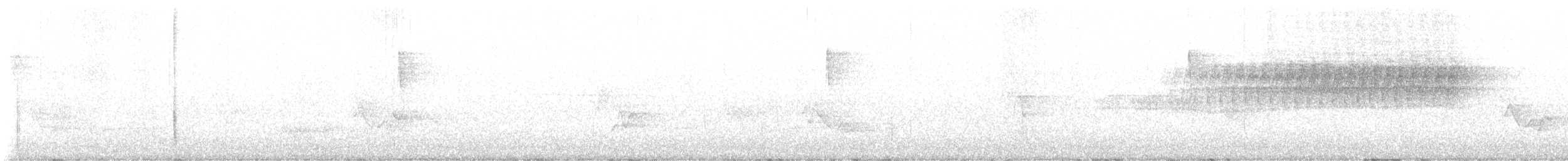 Worm-eating Warbler - ML637927895