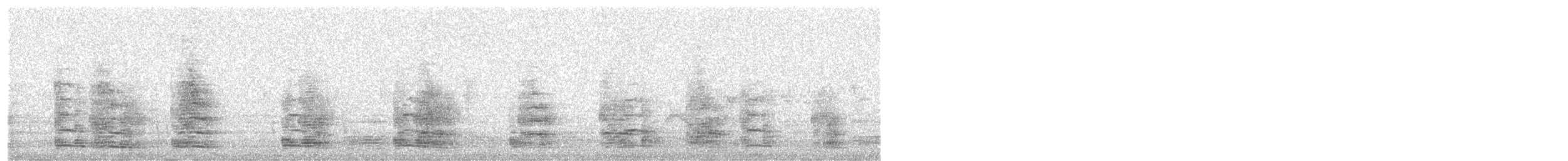 Boz Kaz (evcil tip) - ML637929390
