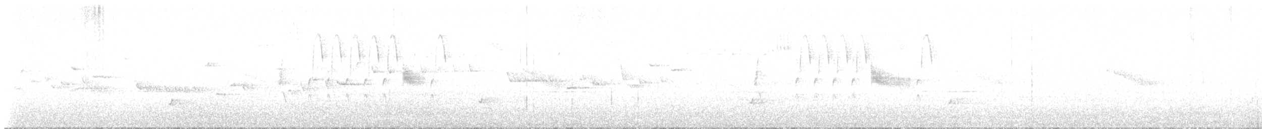 Song Sparrow - ML637930874