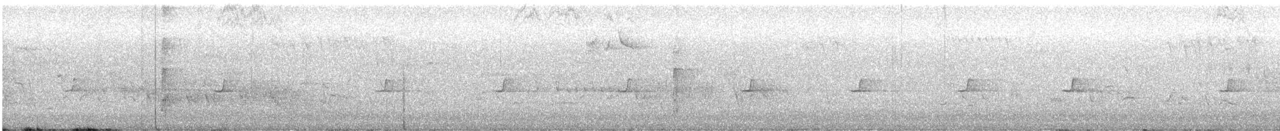 strakapoud velký [skupina major] - ML637931222