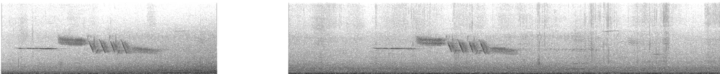 strnadec bělopásý - ML637931496
