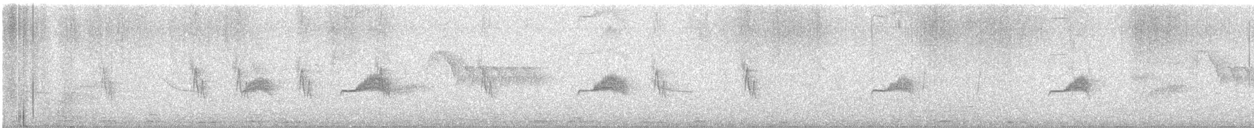 Western Wood-Pewee - ML637931776