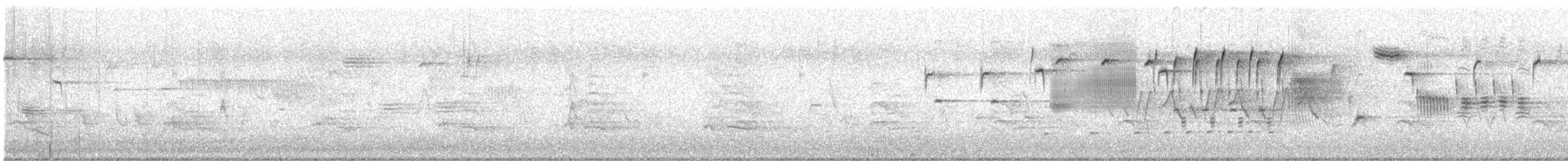rødvingevåk - ML637932668