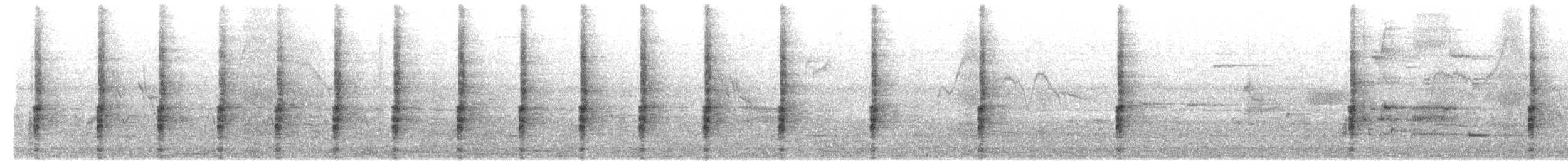 Ridgway's Rail - ML637932965