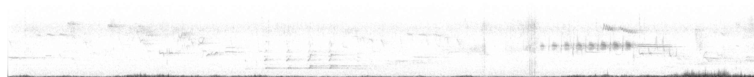 Aquila di mare - ML637933232