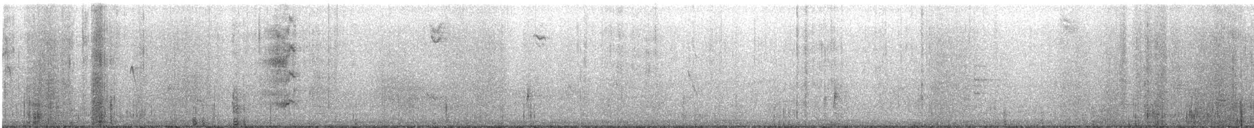 Black Phoebe - ML637933336
