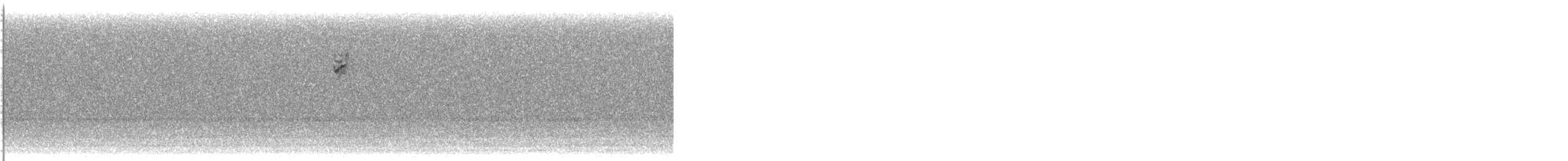 new world warbler sp. - ML637935233