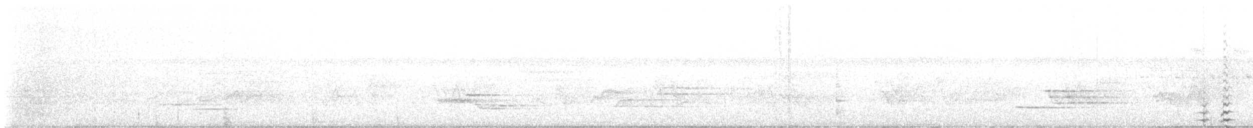 Ovenbird - ML637935567