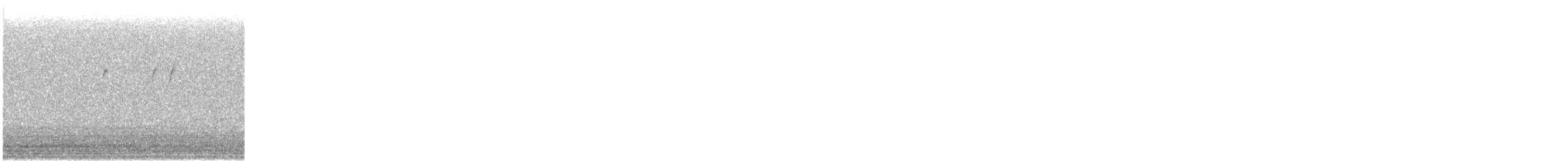 new world warbler sp. - ML637936734