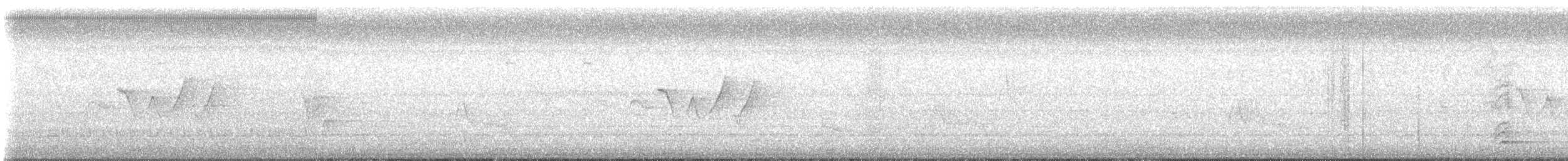 Hooded Warbler - ML637938096