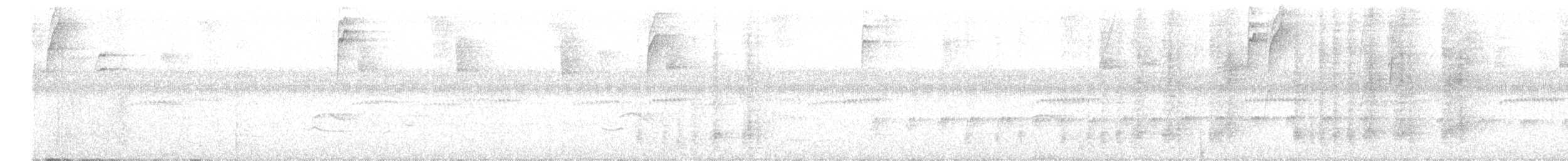 Band-backed Wren - ML637938533