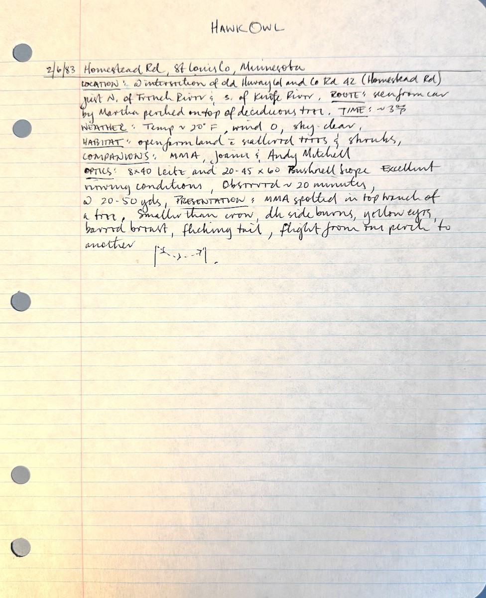 Northern Hawk Owl - ML637939166