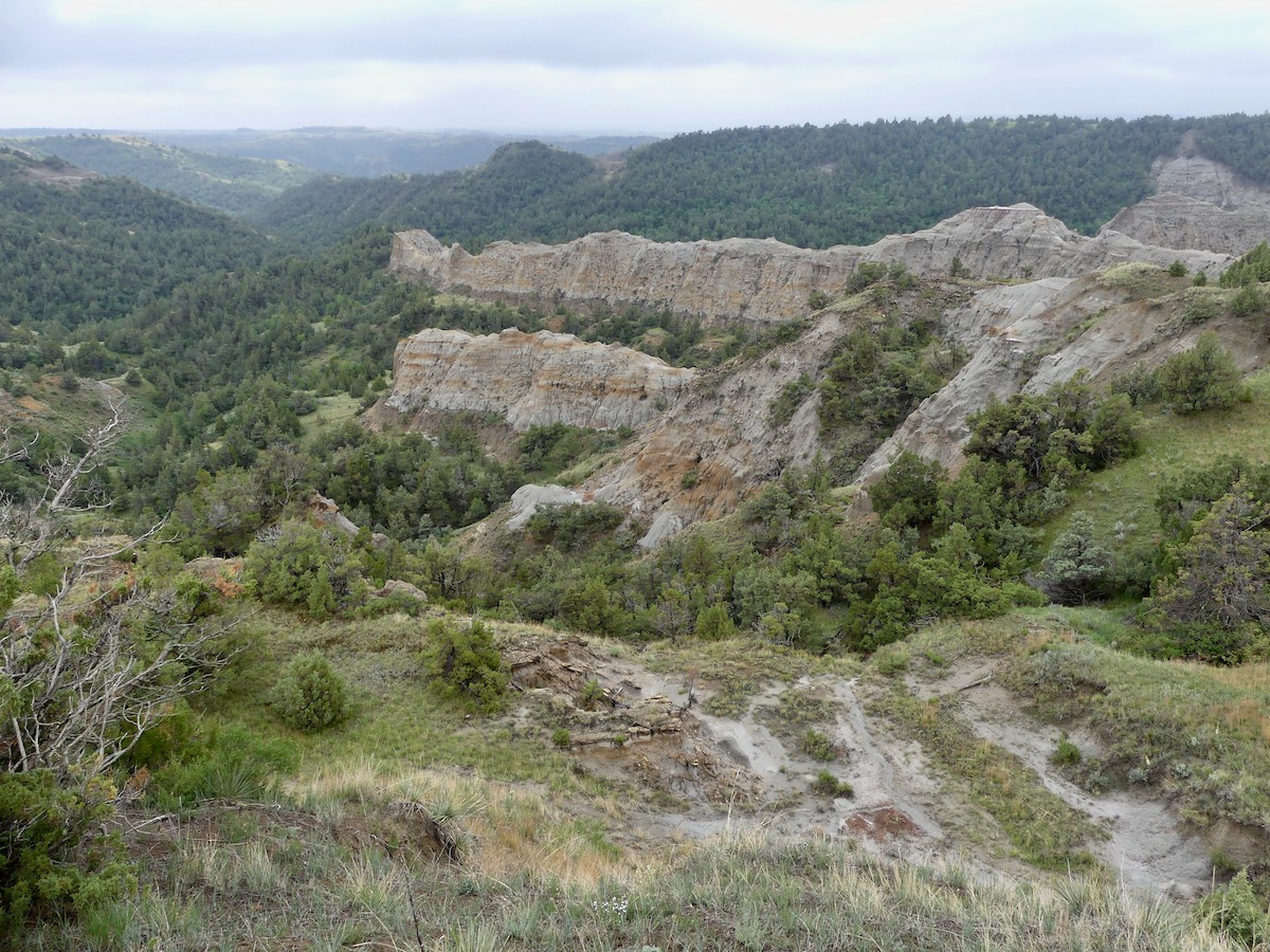 null - ML637940492