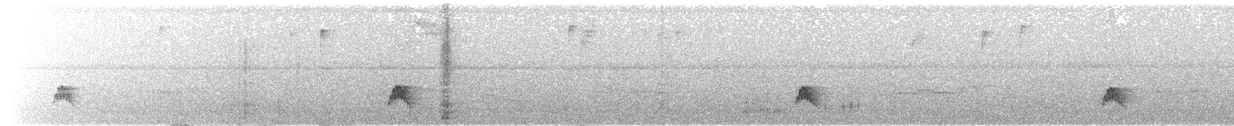 Fiofío Crestiblanco - ML637942285