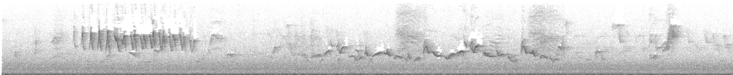 Wilson's Warbler - ML637942413