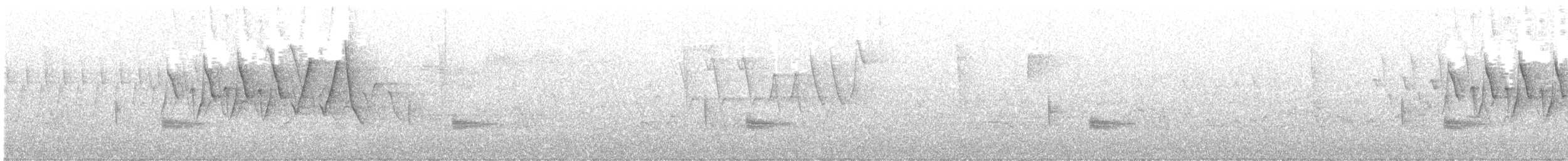 Chestnut-sided Warbler - ML637942446
