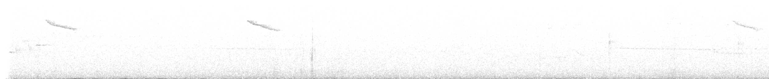 Swainson's Thrush - ML637942830