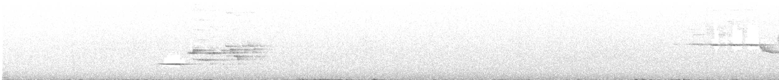 Hermit Thrush - ML637942831