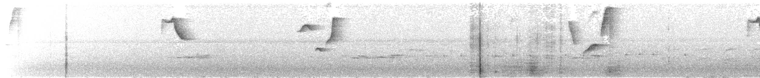 Cerquero Picofino - ML637943001
