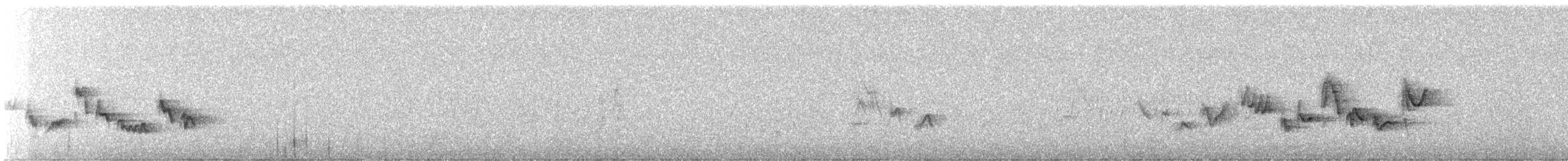 Warbling Vireo (Western) - ML637945590