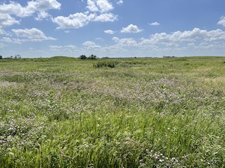 Springbrook Prairie Forest Preserve, DuPage, Illinois, United States ...