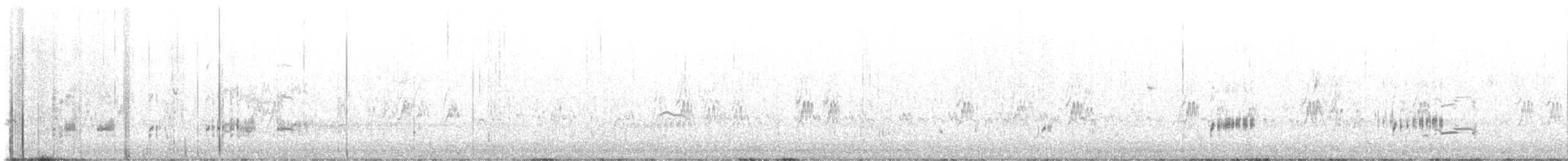 Clark's Grebe - ML637946614