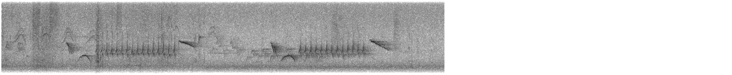 Bewick's Wren - ML637947057