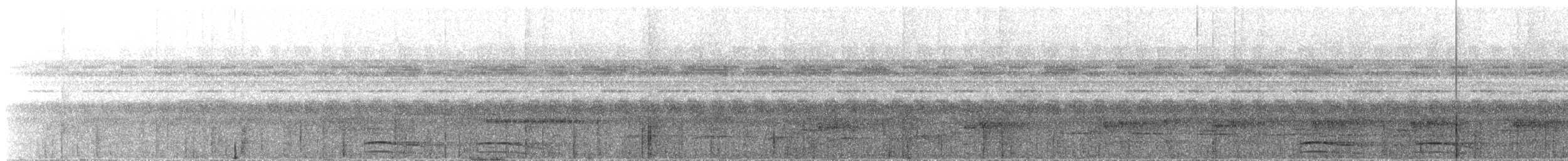 Buckley's Forest-Falcon - ML637947065